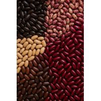 Haricot commun (Phaseolus vulgaris L.)